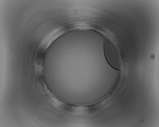 X0000111810889200908131456