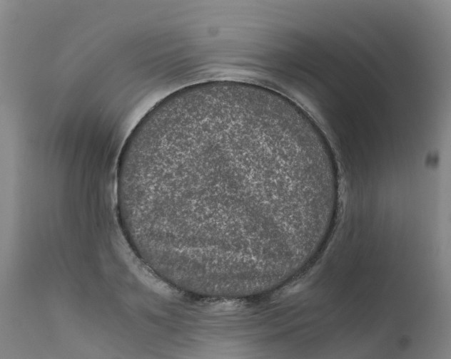 X0000111810891200908131456