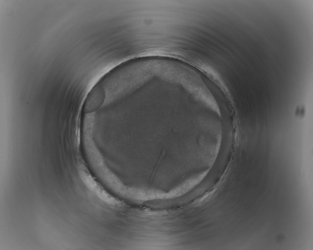 X0000111810892200908131456