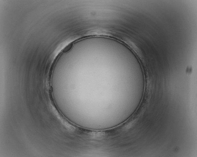 X0000111810893200908131456