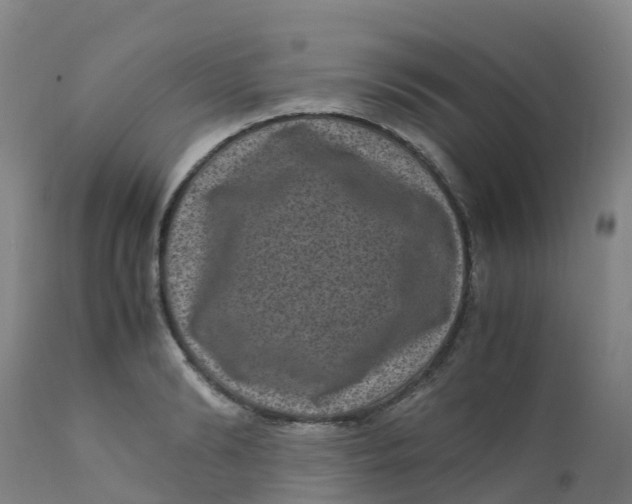 X0000111810894200908131456