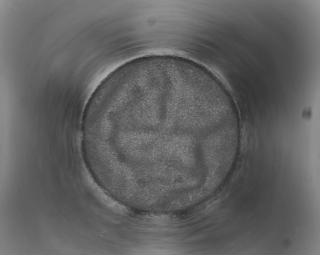X0000111810895200908131456