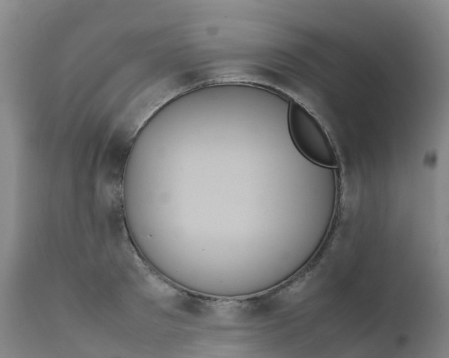 X0000111810897200908131456