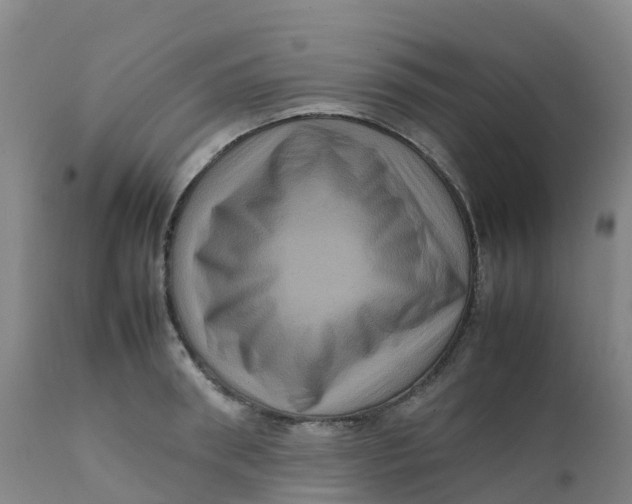X0000111810898200908131456