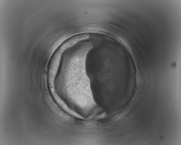 X0000111810899200908131456