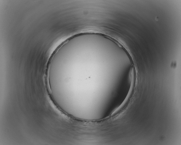 X0000111810901200908131456