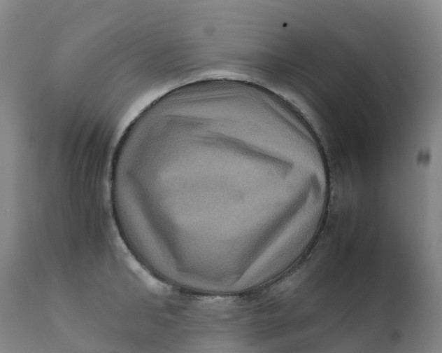 X0000111810902200908131456