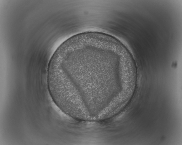 X0000111810903200908131456