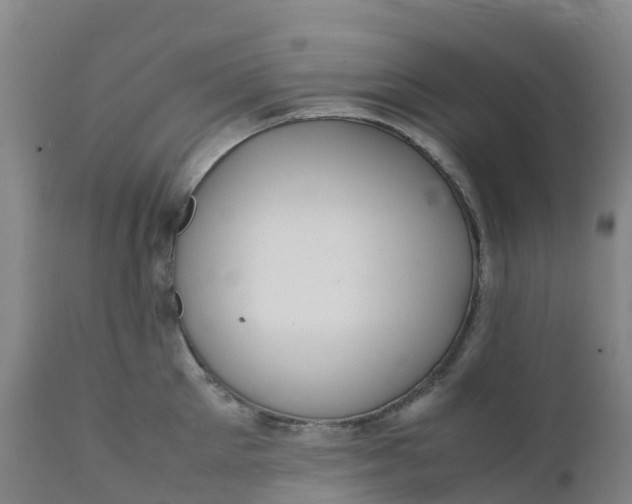X0000111810905200908131456