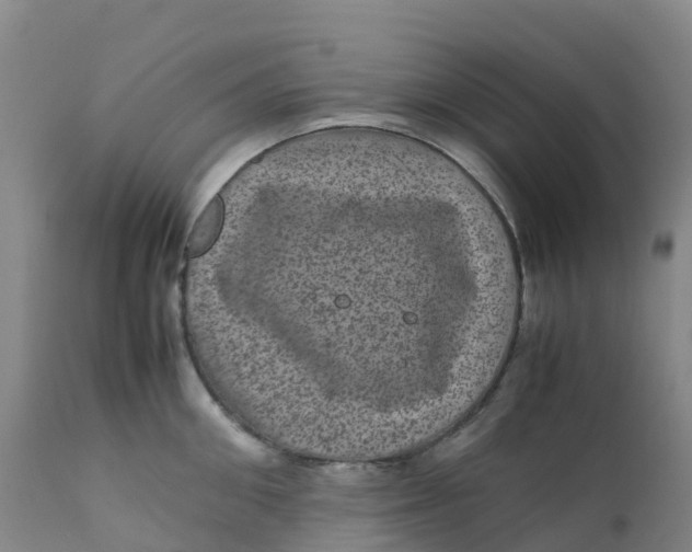 X0000111810906200908131456