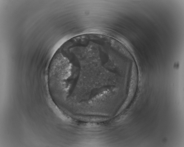 X0000111810907200908131456