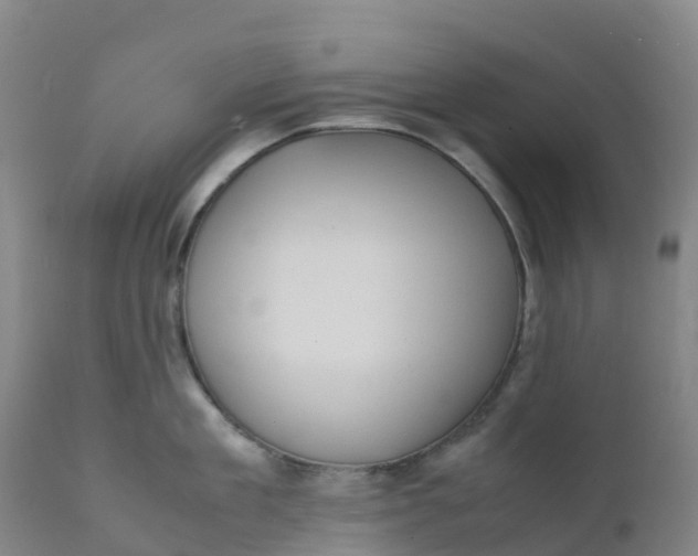 X0000111810909200908131456
