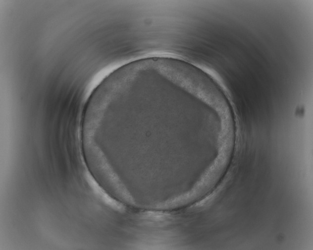 X0000111810910200908131456