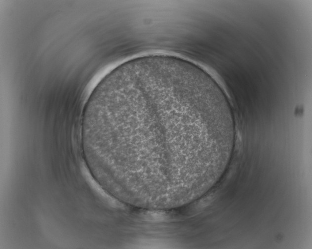 X0000111810911200908131456