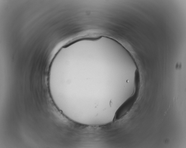 X0000111810912200908131456