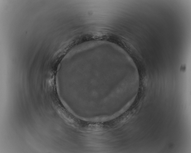 X0000111810914200908131456
