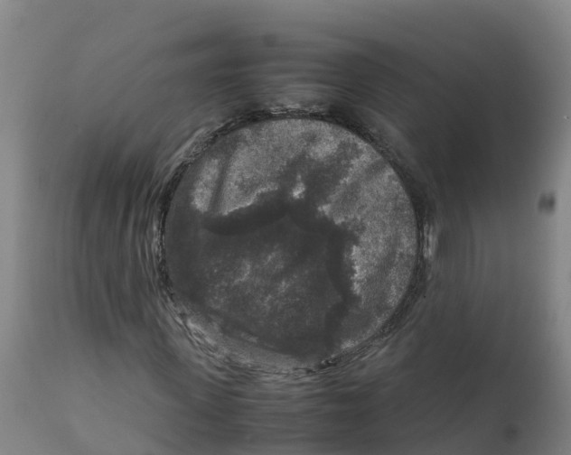 X0000111810915200908131456