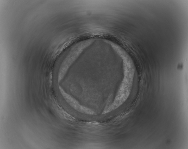 X0000111810916200908131456