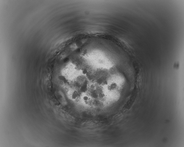 X0000111810917200908131456