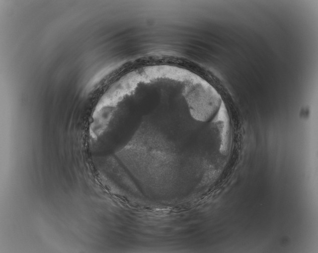 X0000111810919200908131456