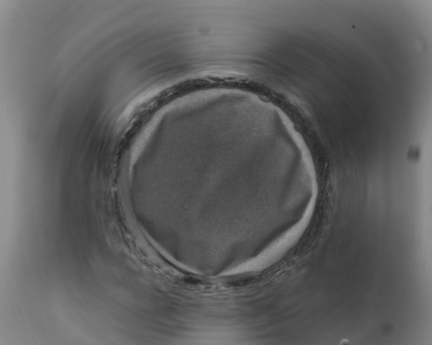 X0000111810920200908131456