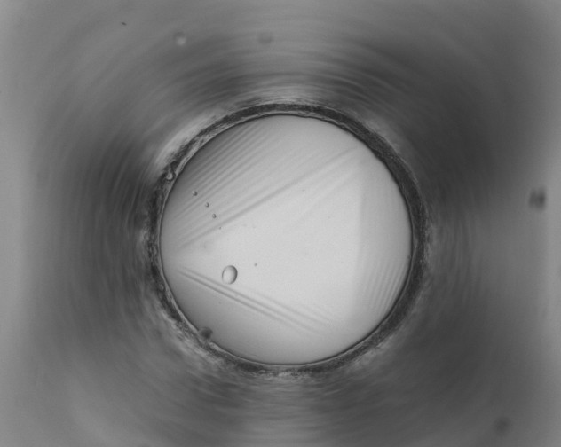 X0000111810922200908131456