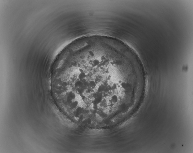X0000111810925200908131456