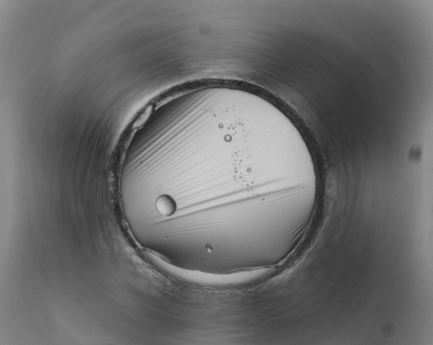 X0000111810926200908131456