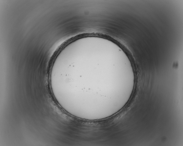 X0000111810927200908131456