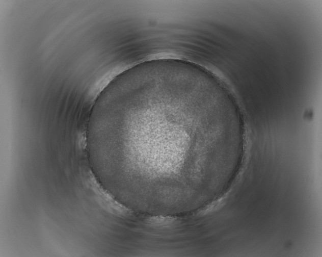 X0000111810929200908131456