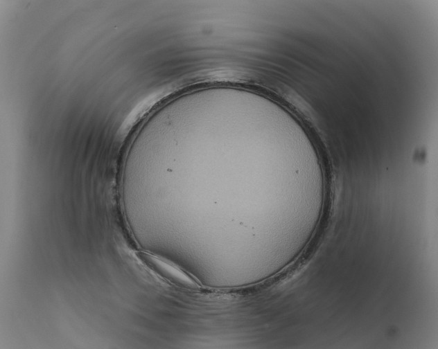 X0000111810930200908131456