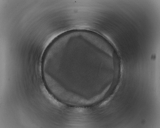 X0000111810932200908131456