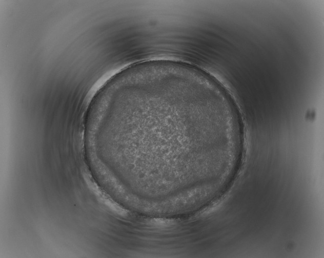 X0000111810933200908131456