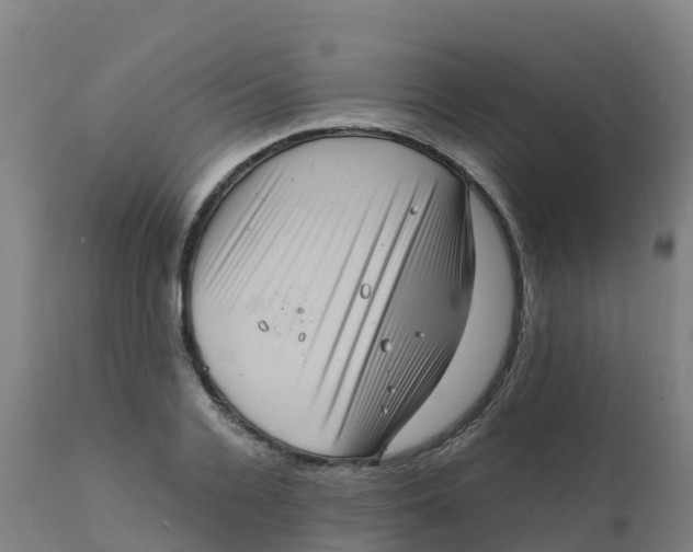 X0000111810936200908131456