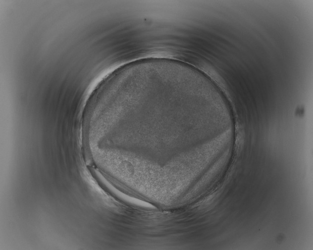 X0000111810939200908131456