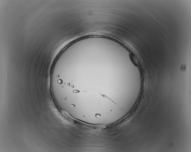 X0000111810940200908131456