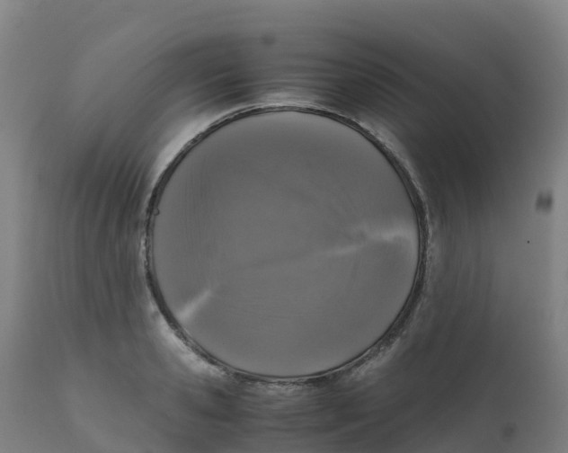 X0000111810941200908131456