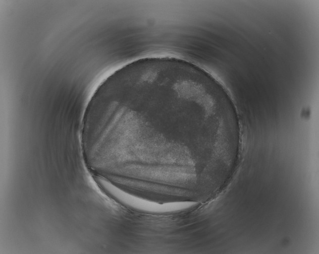 X0000111810943200908131456