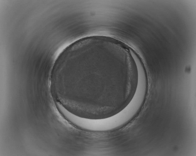 X0000111810944200908131456