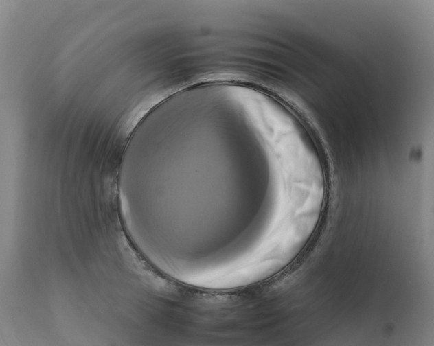 X0000111810945200908131456