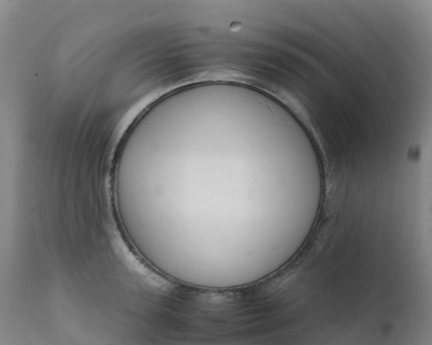 X0000111810947200908131456