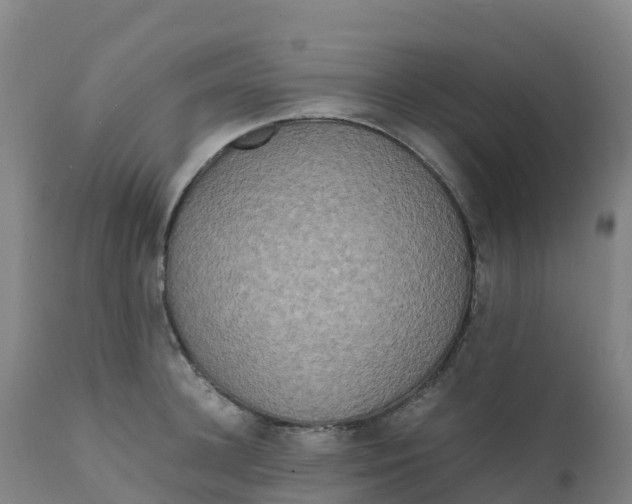 X0000111810948200908131456