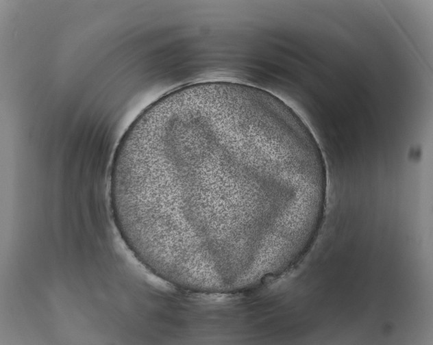 X0000111810949200908131456