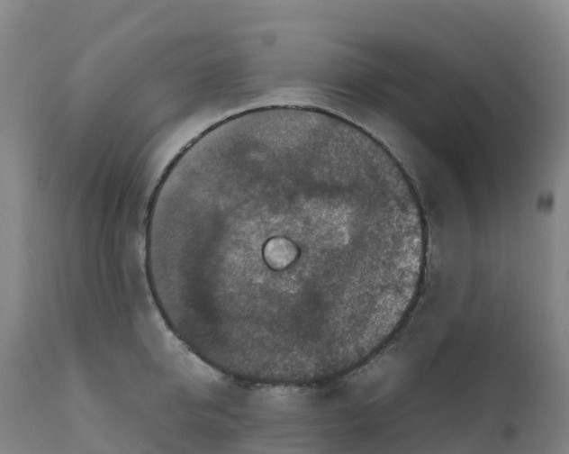 X0000111810950200908131456