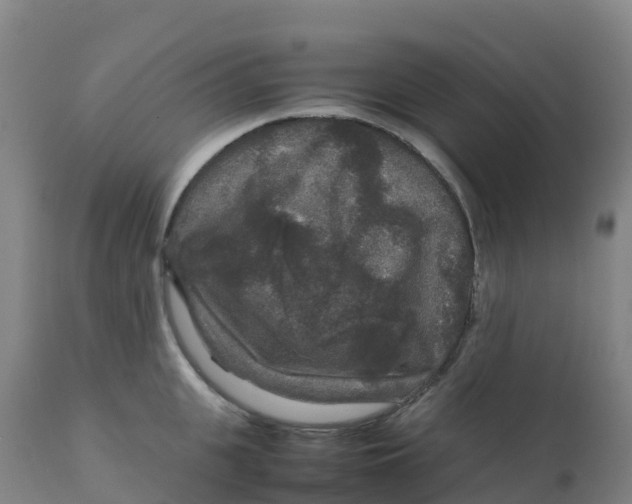 X0000111810951200908131456