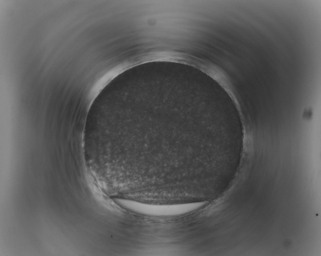 X0000111810954200908131456