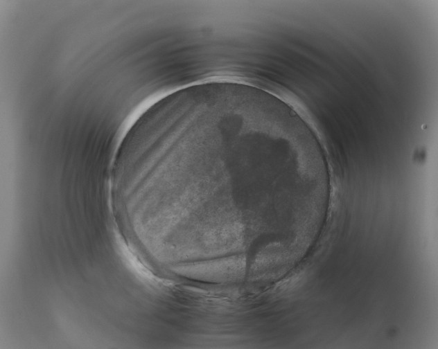 X0000111810955200908131456