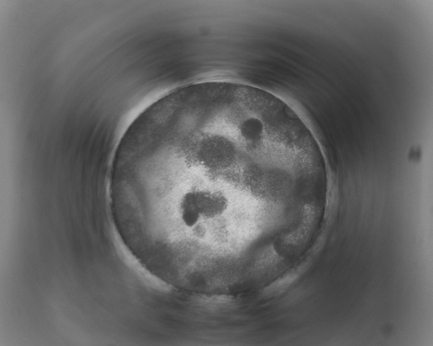 X0000111810957200908131456