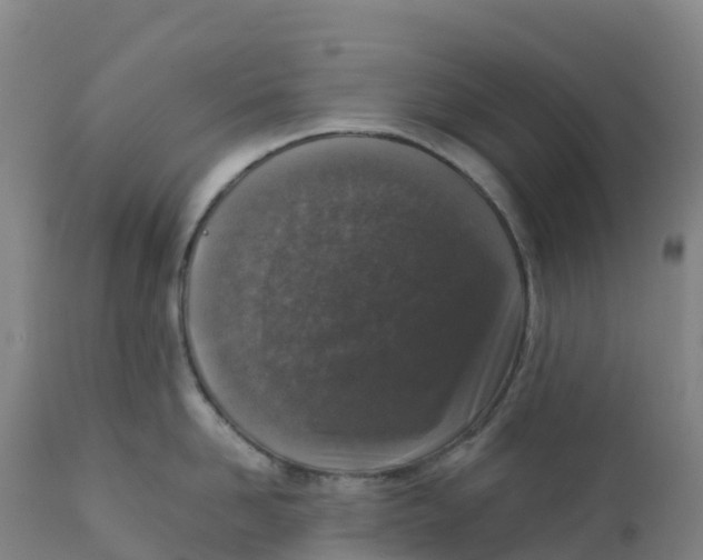 X0000111810958200908131456
