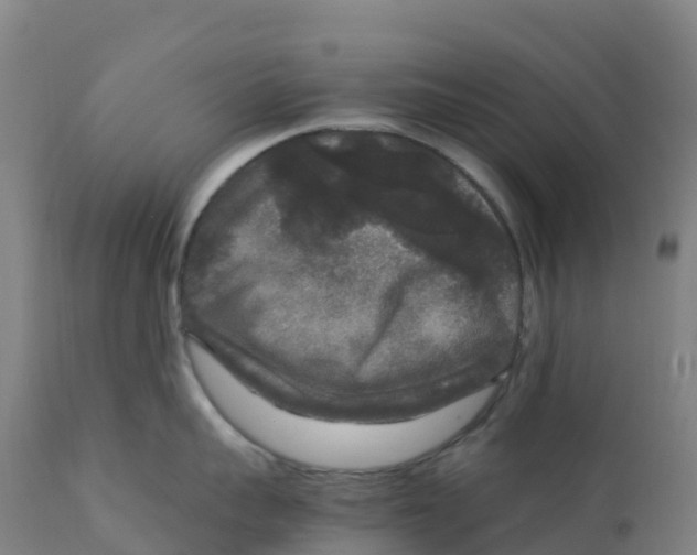 X0000111810959200908131456